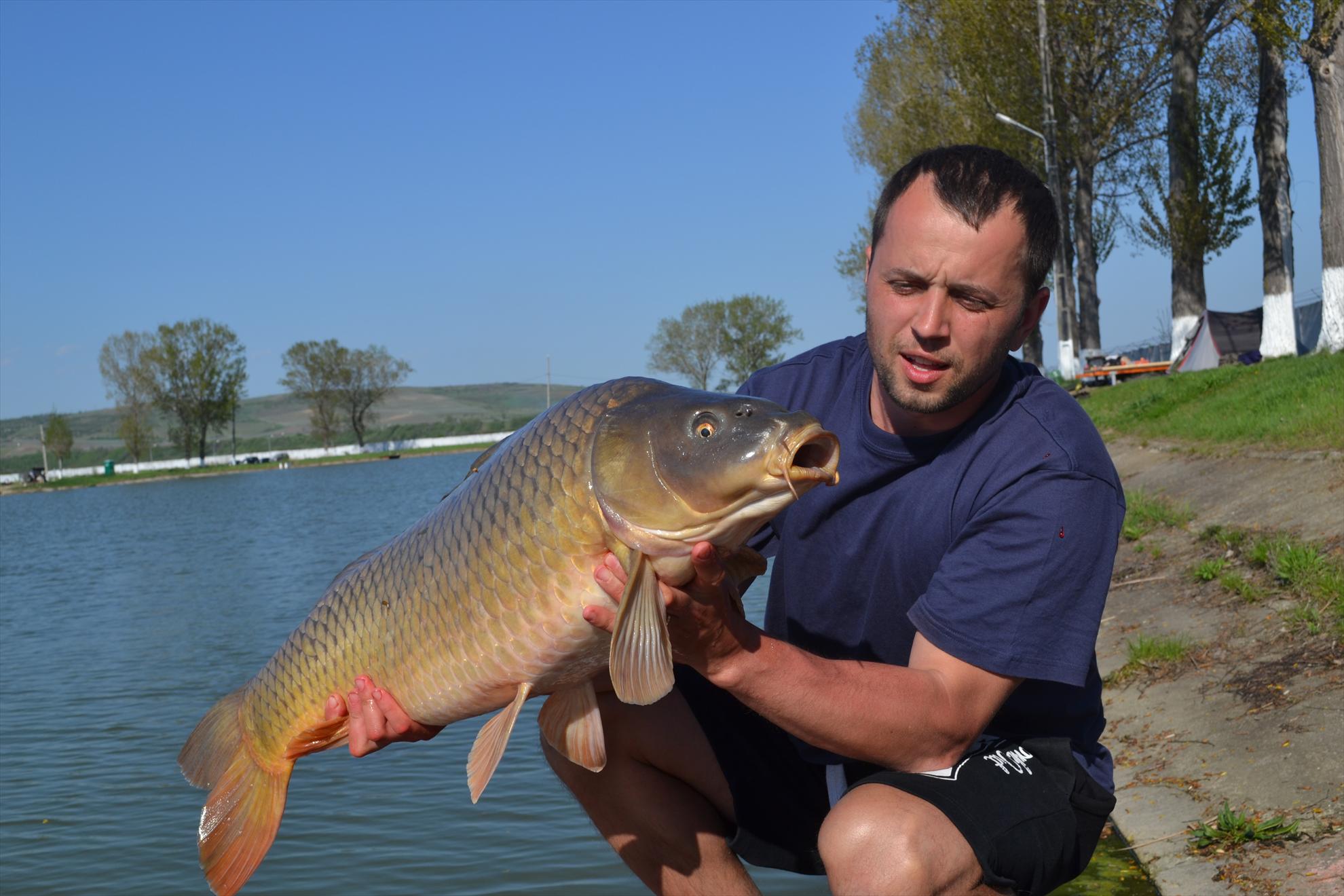 Capturi 2013 - Pleasa - dsc0300.JPG